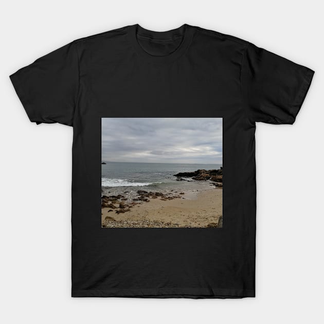 View from a sandy beach of a boat at sea T-Shirt by Blue Butterfly Designs 